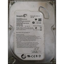 Seagate ST3250318AS 250 GB SATA 3.5" Harddisk